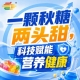 相聚金陵金秋，第115届南京秋季糖酒会，开启食饮新纪元
